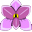 orchidsupplies.com.au-logo