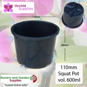 110mm Orchid Squat Plant Pot