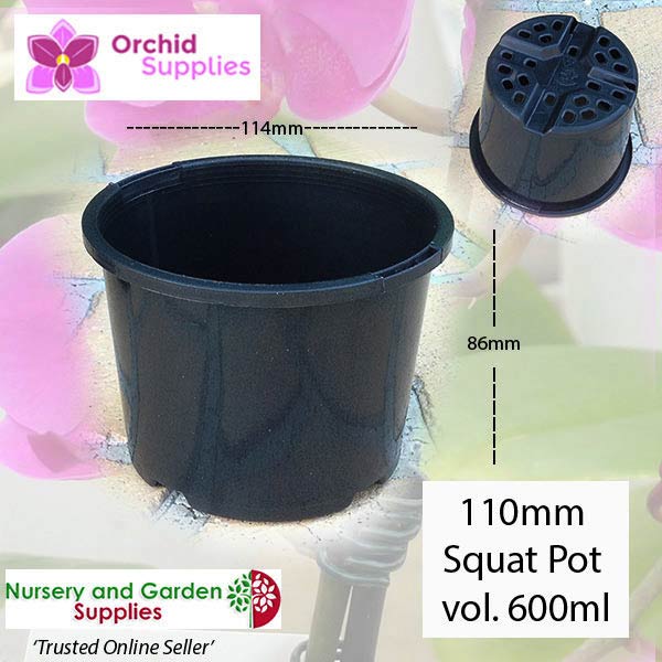 110mm Orchid Squat Plant Pot