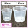 TEKU Clear Phalaenopsis Orchid Pot - Orchid Growing Supplies - For more information go to Orchidsupplies.com.au