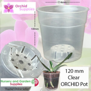 TEKU Clear Phalaenopsis Orchid Pot - Orchid Growing Supplies - For more information go to Orchidsupplies.com.au