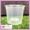 150mm Clear TEKU Phalaenopsis Orchid Pot - Orchid Growing Supplies - For more information go to Orchidsupplies.com.au