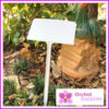 250mm Orchid Display Label - Orchid Growing Supplies - For more information go to Orchidsupplies.com.au