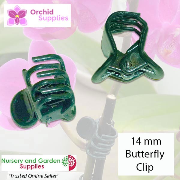 14mm Butterfly Clip Orchid Flower Stem - for more info go to orchidsupplies.com.au