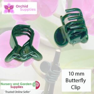 10mm Butterfly Clip Orchid Flower Stem - for more info go to orchidsupplies.com.au
