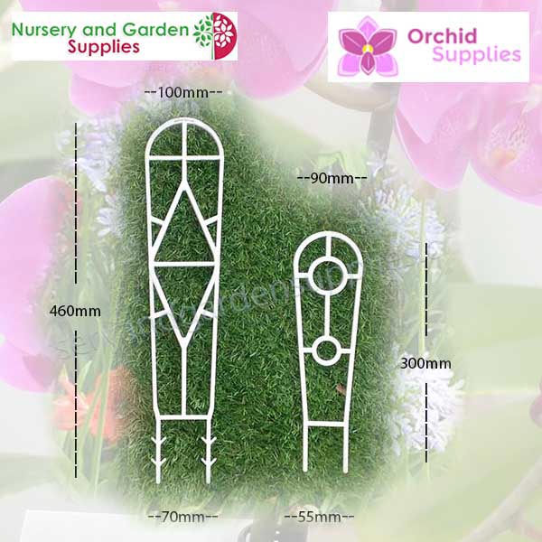 Orchid ladders