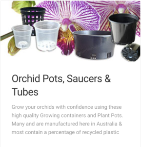 Orchid Pots