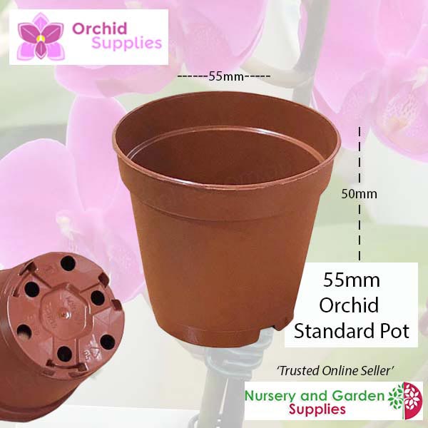 55mm TEKU Standard Orchid Pot