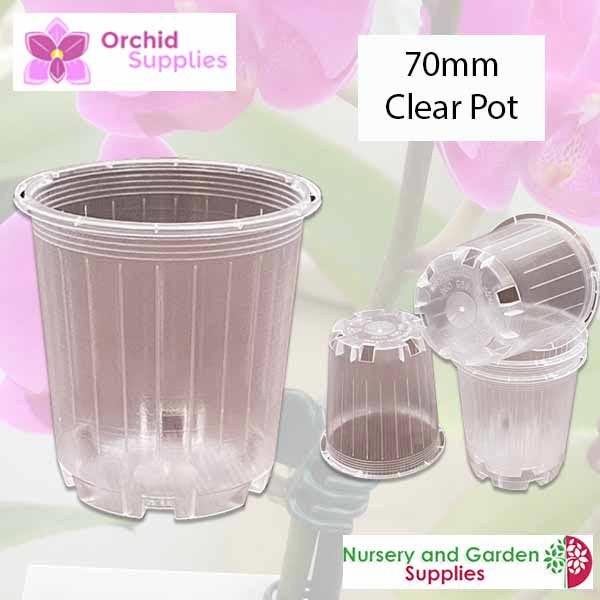 70mm Clear Orchid Pot