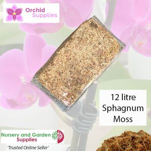 Orchid Sphagnum Moss 12L