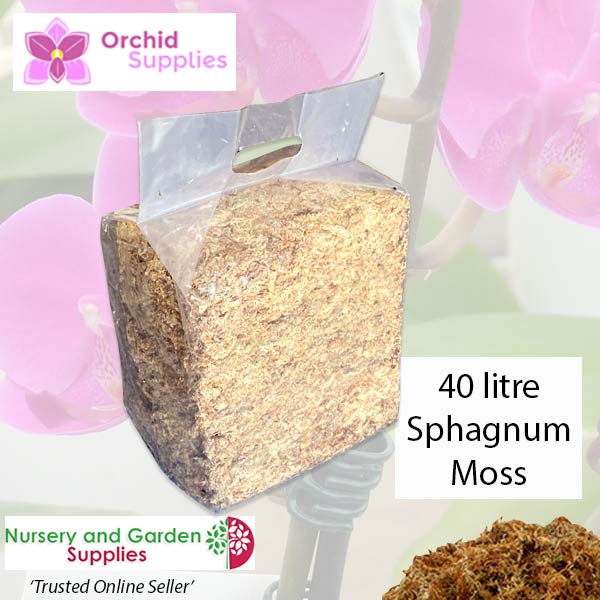 Orchid Sphagnum Moss 40Lv