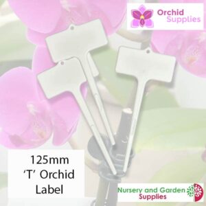 125mm 'T' Orchid Label