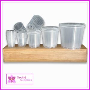 LARGE Clear Pots Combo Pack