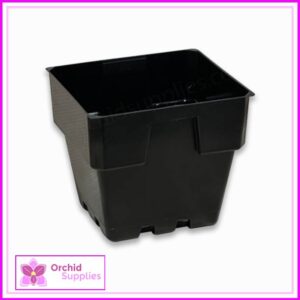 100mm Squat Square Pot