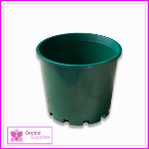140mm Squat Orchid Pot Green